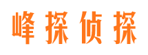 尖山市调查公司